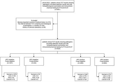 Unveiling the hidden link: fungi and HPV in cervical lesions